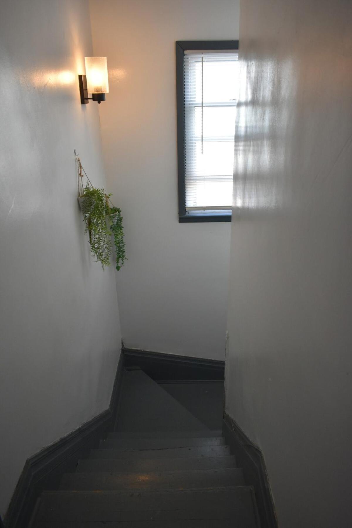 Apartment Downtown 1 Bdrm Oasis